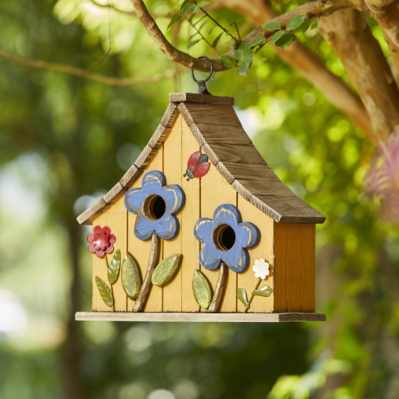 Athena 11 in x 11 in x 5 in Birdhouse, Yellow