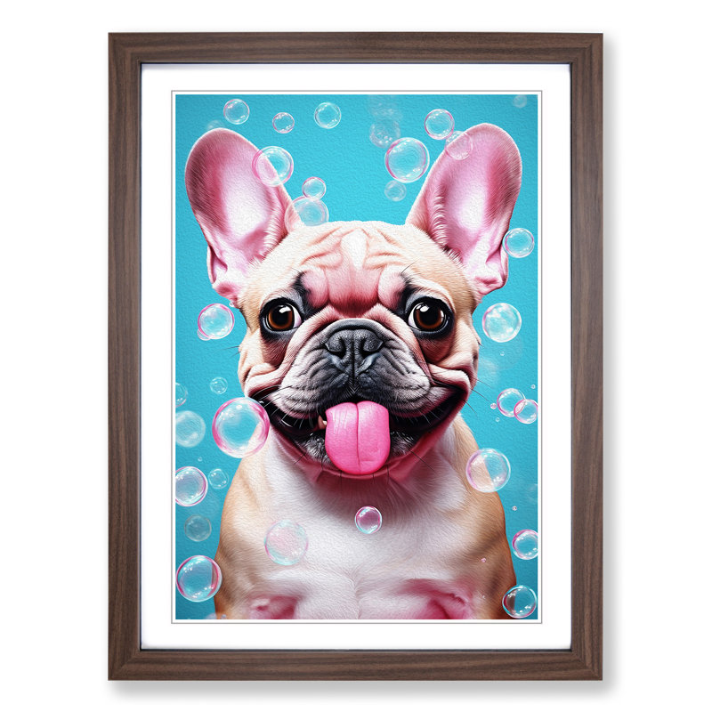 French Bulldog Bubble Gum - Single Picture Frame Print on Wood, Walnut, 64cm H x 46cm W x 2cm D