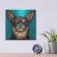 "Chihuahua bleu foncé" par Carolee Vitaletti-2117087674