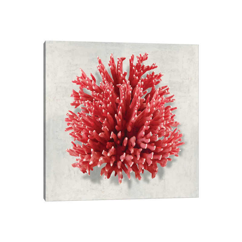 Coral Red I by Caroline Kelly - Wrapped Canvas Print, 93.98 cm H x 93.98 cm W