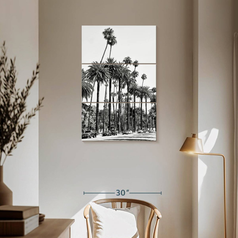 Palmiers de Sireci, Californie, Californie, H 57 po x l 36 po