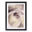 Pale Pink Rose - Framed Print-55578188-55578189