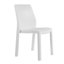 Ensemble de 2 chaises d'appoint de salle à manger d'extérieur Modern-1487937623