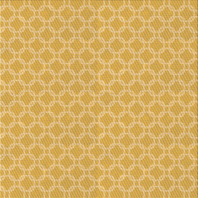 Indoor Rug