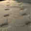 Photos des clients 2 de 2