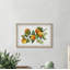 Five Lemons - Single Picture Frame Print-1063878980
