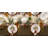Alcova Plaid 100% Cotton Table Runner-644946000