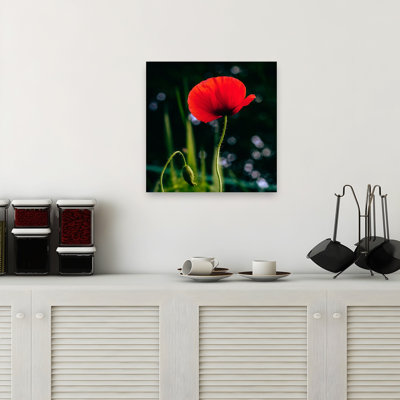 «Vibrant Red Poppy Delicate Romantic Vibrant Poppy Flower Nature», reproduction d'art murale