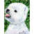 Westie 1