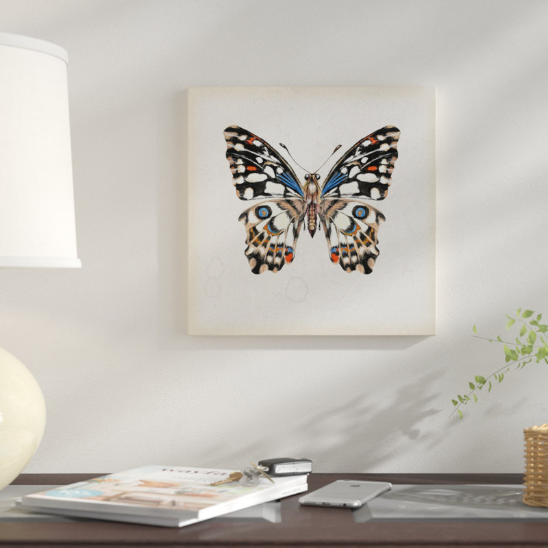 « papillon study ii », impression sur toile, H 12 po x l 12 po x P 1,5 po, Pas de tapis, Toile tendue