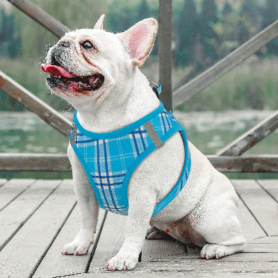 Harnais réglable pour chien avec laisse Gesemyer