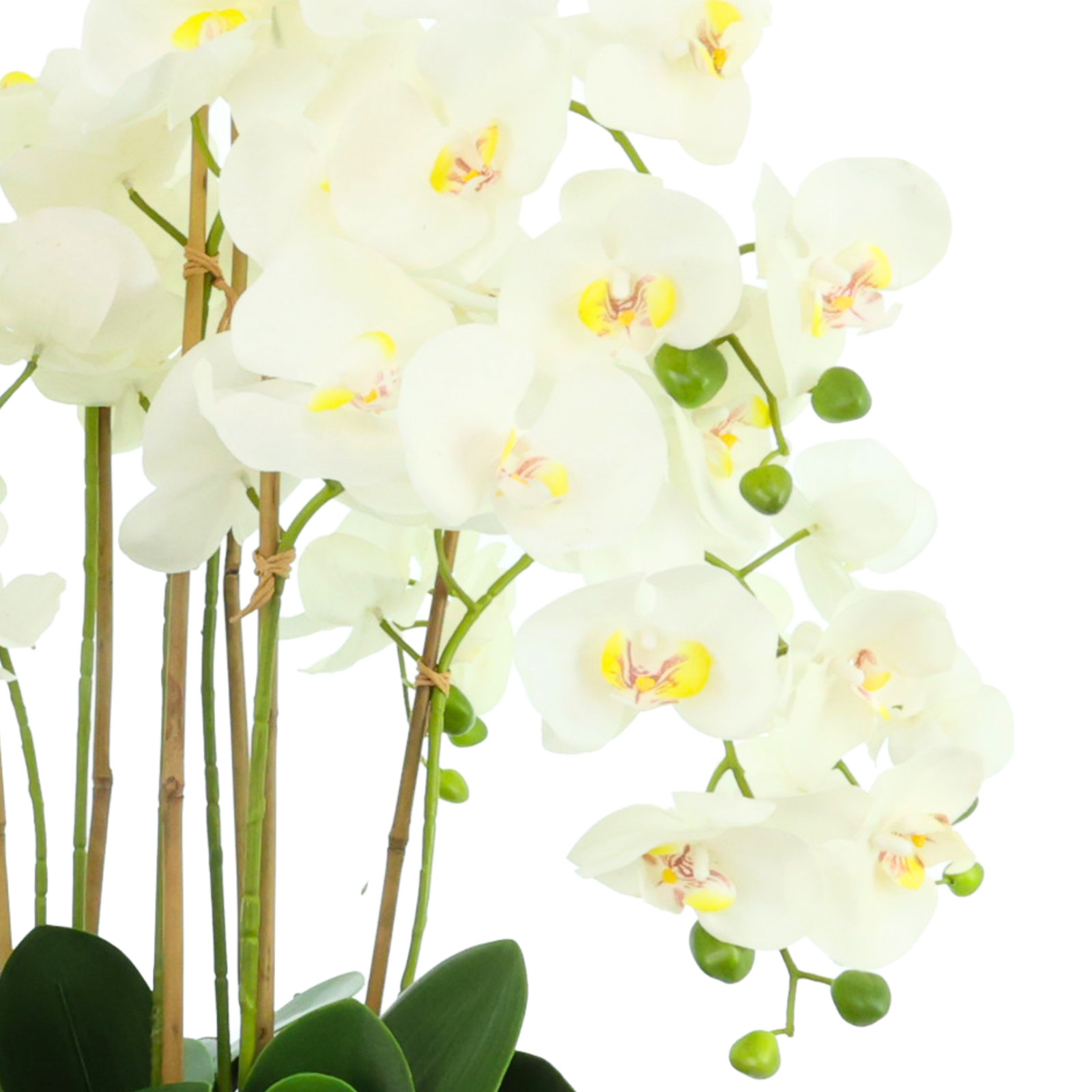 Orchid Floral Arrangement, 31" H x 30" W x 30" D