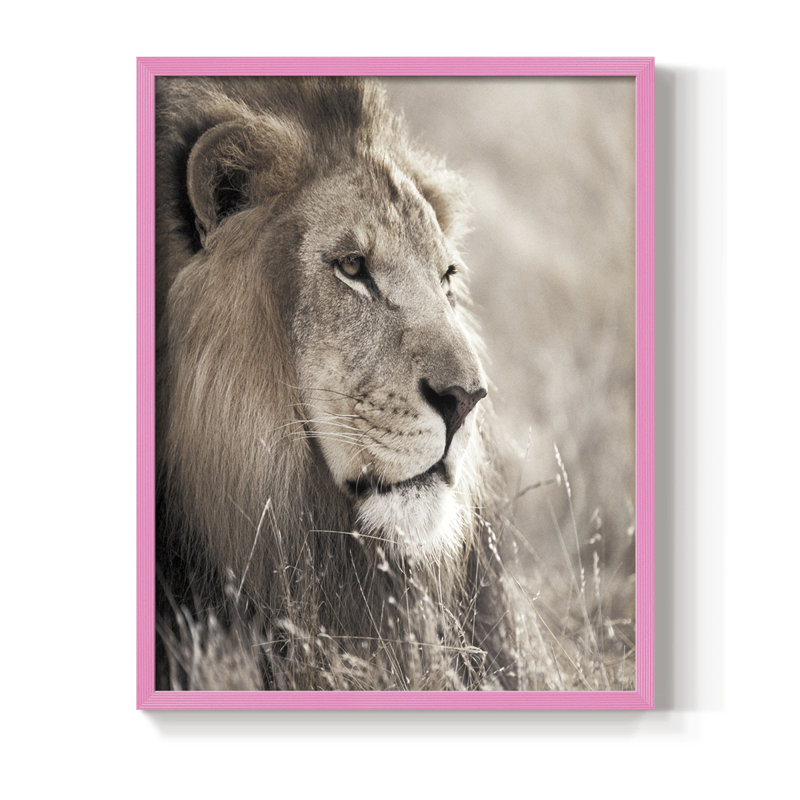 Reproduction encadrée Leo - bois massif, H 30 po x l 24 po, Rose
