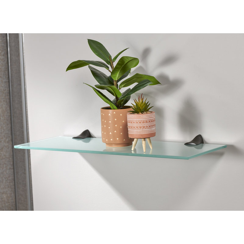 Capri 8X24 Shelf Kit With Beak, Opaque