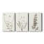 Neutral Botanical Study IV - Toile tendue sur mesure avec châssis - 3 pièces-1877333644