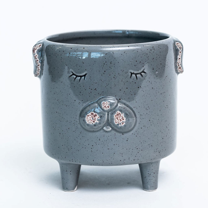 Alexandro Ceramic Pot Planter, 5.1" H x 4.9" W x 4.9" D