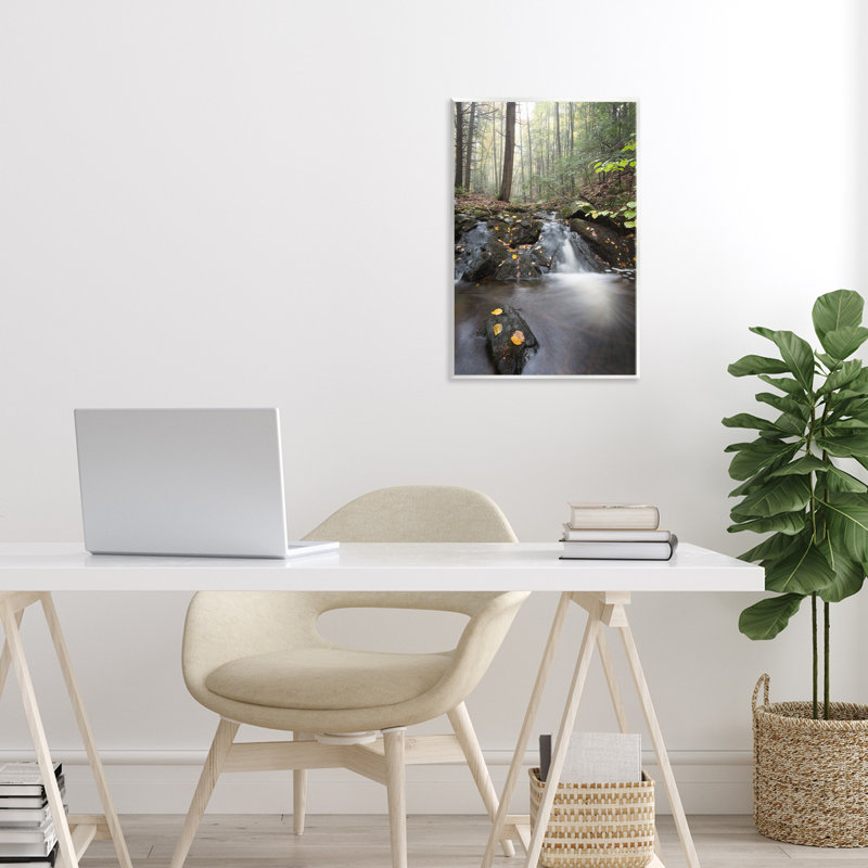 Plaque murale Adirondacks Misty Stream, design par James Rodewald, H 15 po x l 10 po