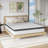 14" Medium Memory Foam Queen Size Hybrid Mattress-1696647408-1697957961