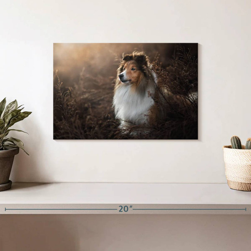 Brampt Gorgeous Sheltie Dog, 8" H x 12" W