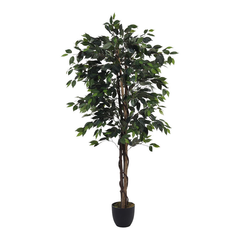 180cm Faux Banyan Tree in Freestanding