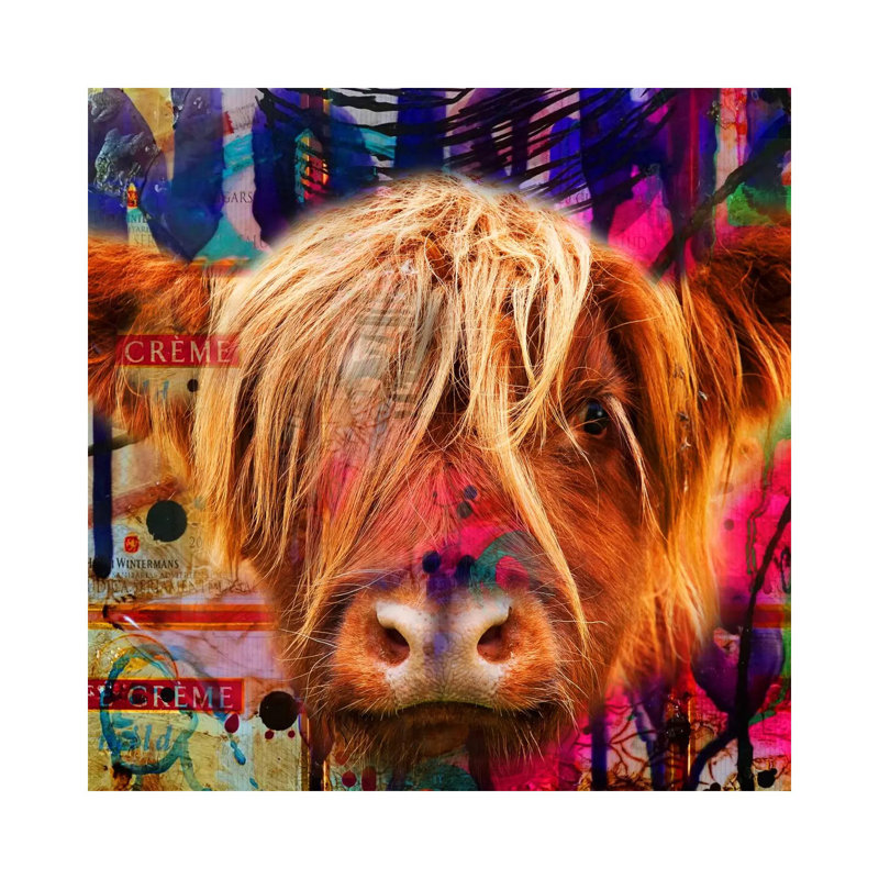Fancy Cow by Mascha De Haas - Wrapped Canvas Print, 66.04 cm H x 66.04 cm W x 3.175 cm D