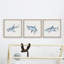 Calumet Be A Shark, ensemble de 3 reproductions encadrées-815177203