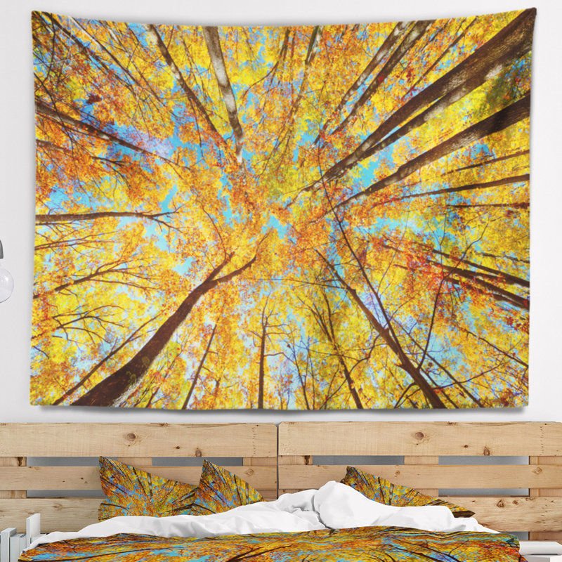 Cime d'arbre en forêt d'automne, H 32 po x l 39 po