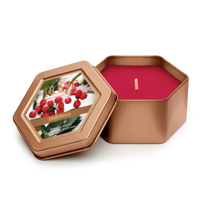 Hollyberry Scented Jar Candle