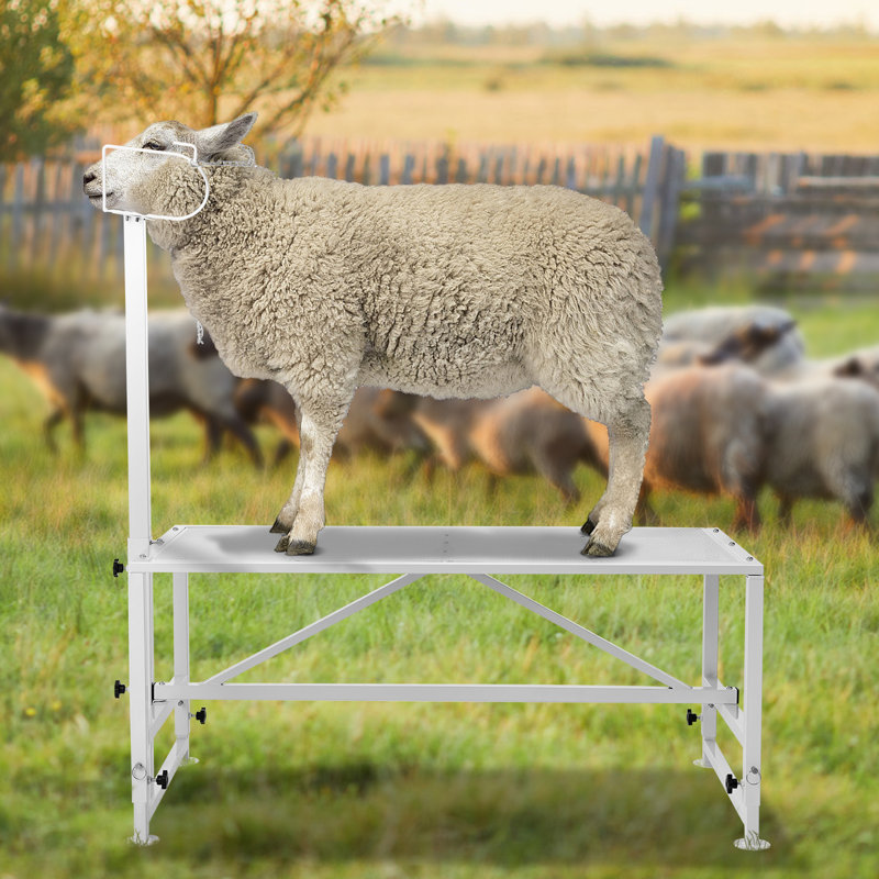 Adjustable Grooming Tub, 162.8cm H x 119.4cm W x 58.4cm D, White