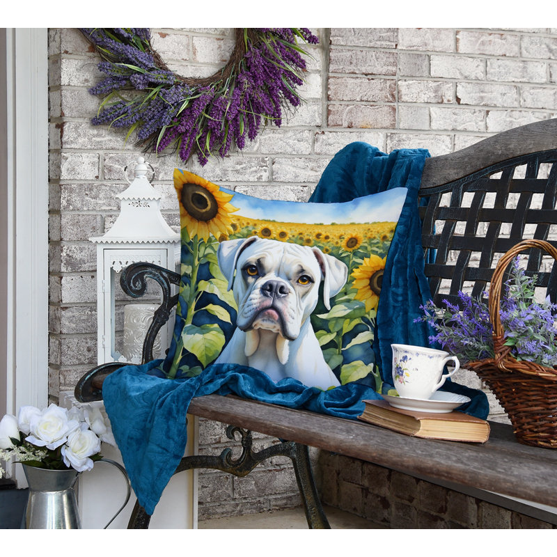 Other/No Pattern Outdoor Throw Pillow, 18"H x 18"W