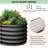 Set of 2 Oval Galvanized Steel Raised Garden Beds for Vegetables, Flowers, Herbs