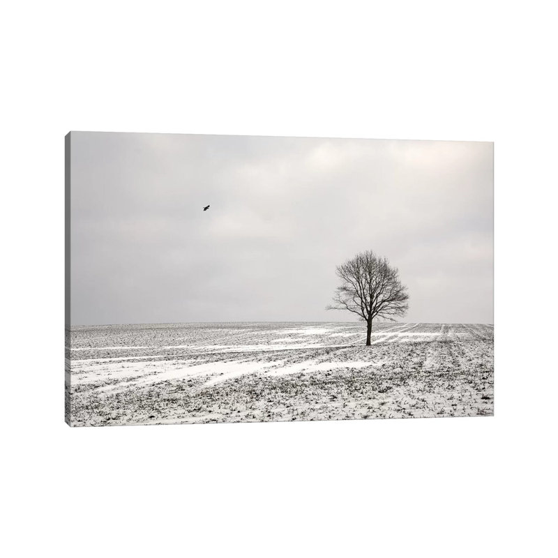 Loneliness by Lena Weisbek - Wrapped Canvas Print, 20.32 cm H x 30.48 cm W