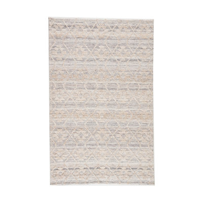 Raised Ikat Area Rug in Beige