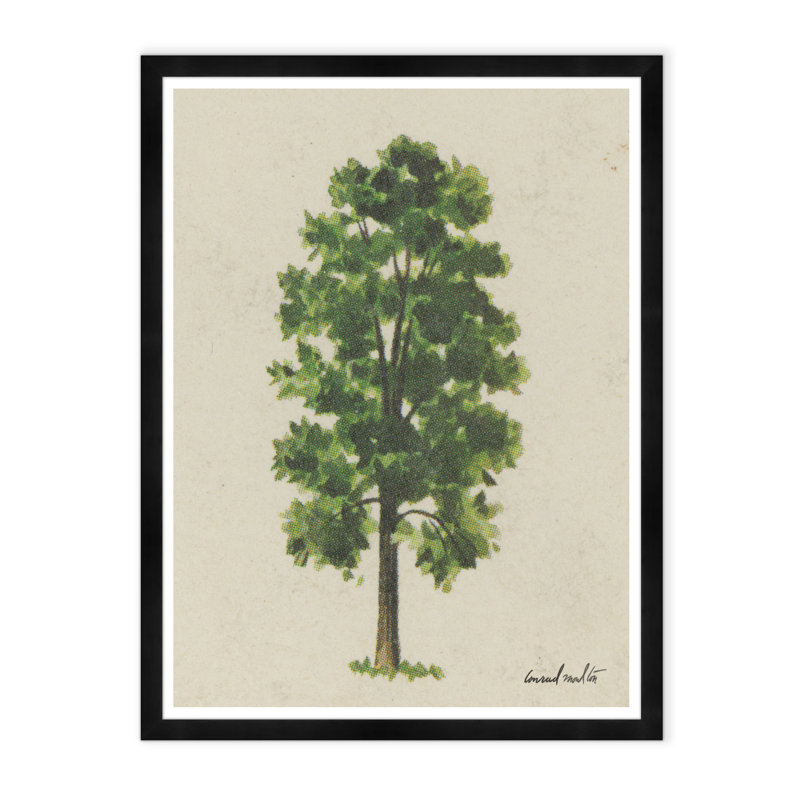 Meadow Tree Print by Tim Klein