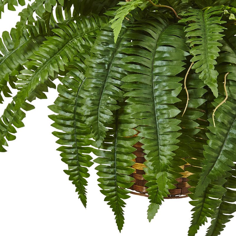 33'' Faux Fern Plant in Wicker Basket