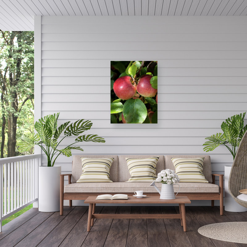 Toile d'extérieur Marcus Jules Macintosh Apples, H 14 po x l 19 po
