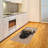 Pug High Density Long Fiber Poly Threads Decorative Area Rug Carpet-42028837