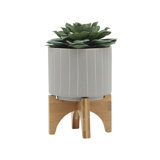 Planter on Stand Ceramic Planter on Wooden Base Contemporary Rustic Striped Design