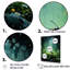 «Undergrowth Explorer Moss Green Ant», reproduction sur toile-207043811-207043836