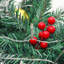270cm Lighted Faux Garland with Lights