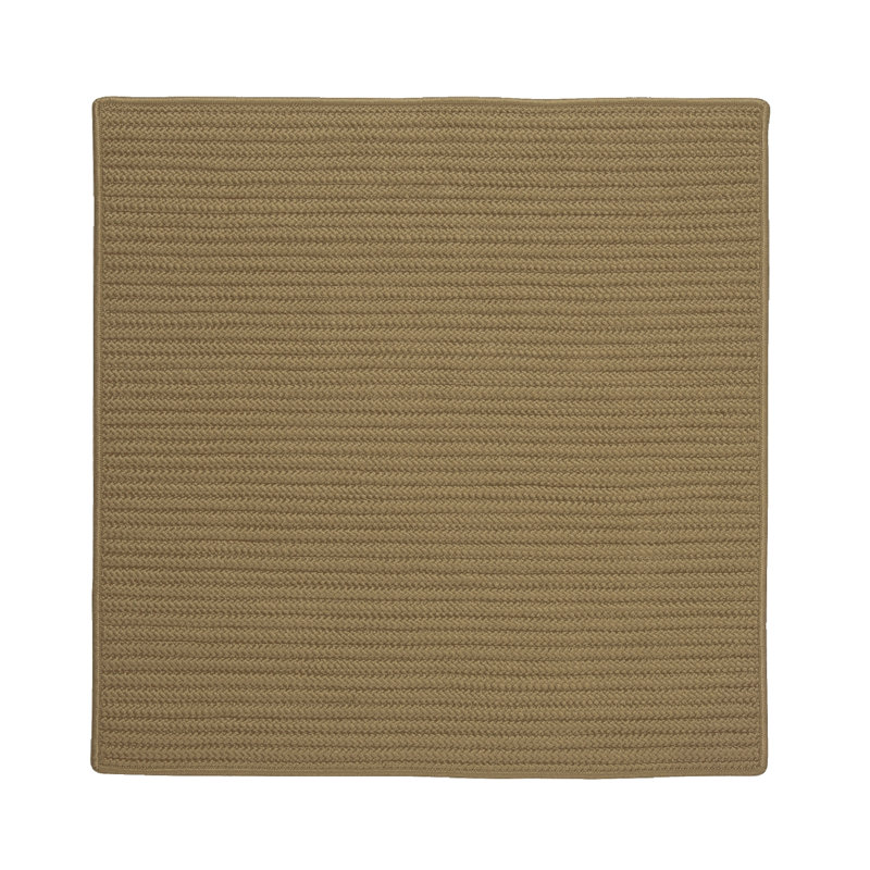 Tan Braided Synthetic Outdoor Rug 3' x 5'