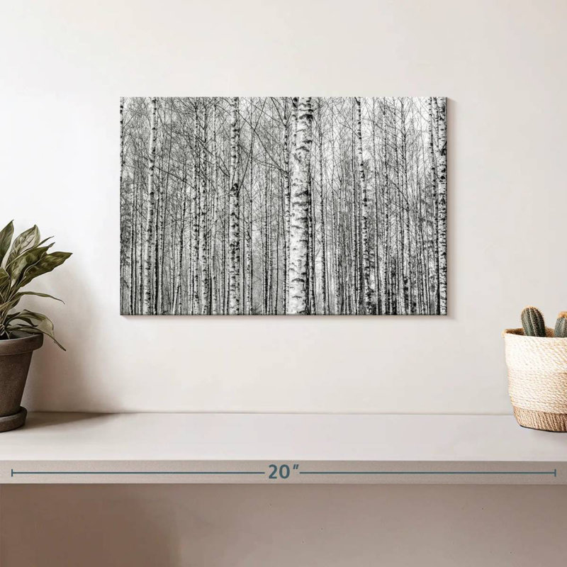 Forêt de bouleaux nus Harnek