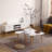  1 Coffee Table-2088884055