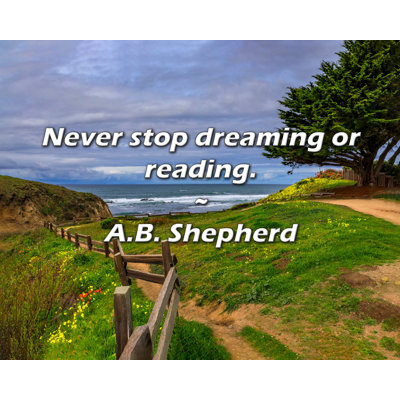A.B. Shepherd Quote: Never stop dreaming or reading.