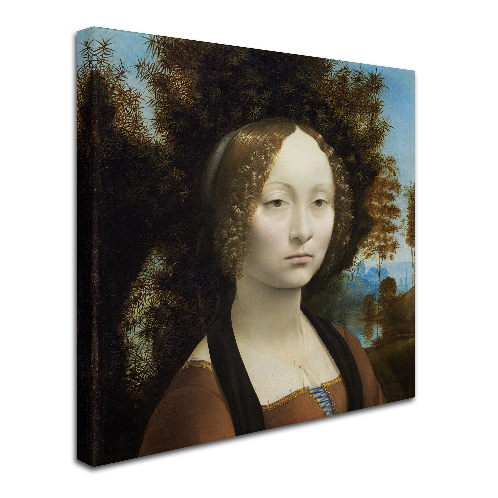 Vault W Artwork 'Ginevra De Benci' Print on Wrapped Canvas | Wayfair