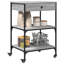 Dwyce Metal Bar Cart-1602415009
