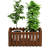 Arlen Wood Planter Box