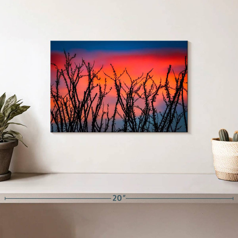 Harnek Ocotillo au coucher du soleil, H 8 po x l 12 po