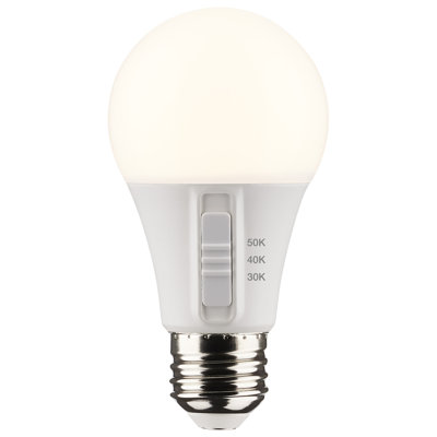 6 Watt White LED Bulb