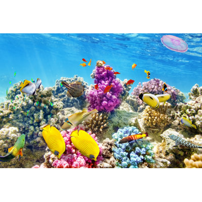 Coraux et poissons - peinture sur toile tendue